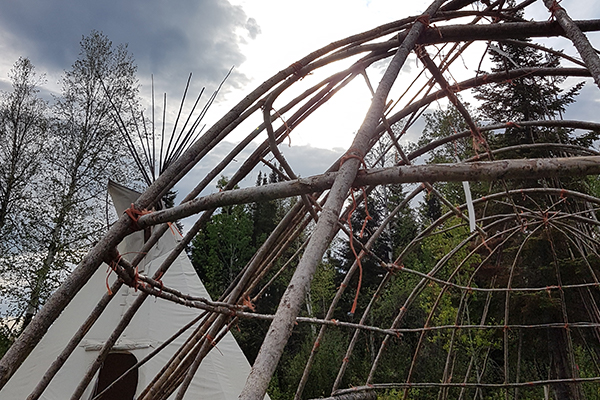 tipi