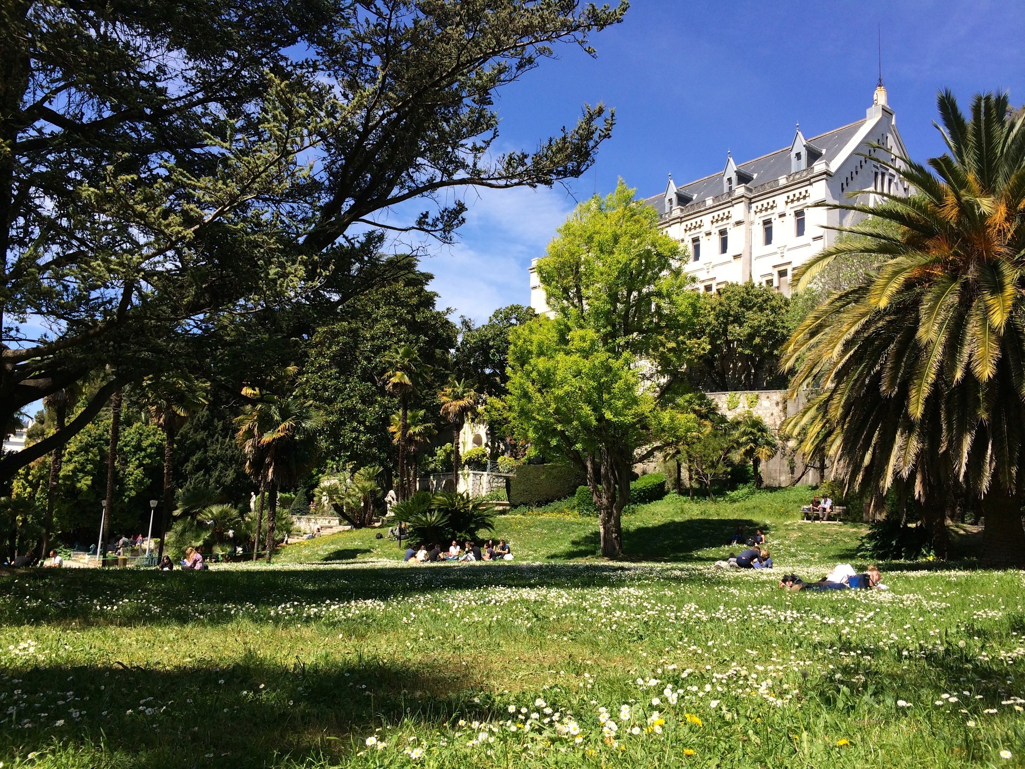 University of Côte d’Azur