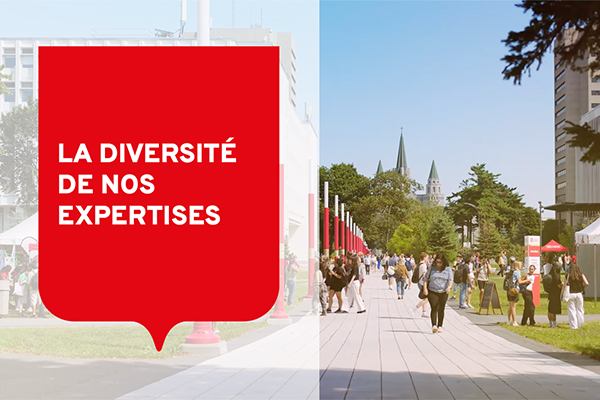 La diversité de nos expertises