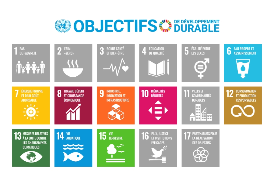 Objectifs des nations unies s'appliquant à cette thématique