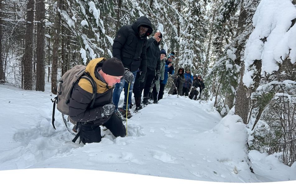 groupe de personnes en plein air à la forêt Montmorency