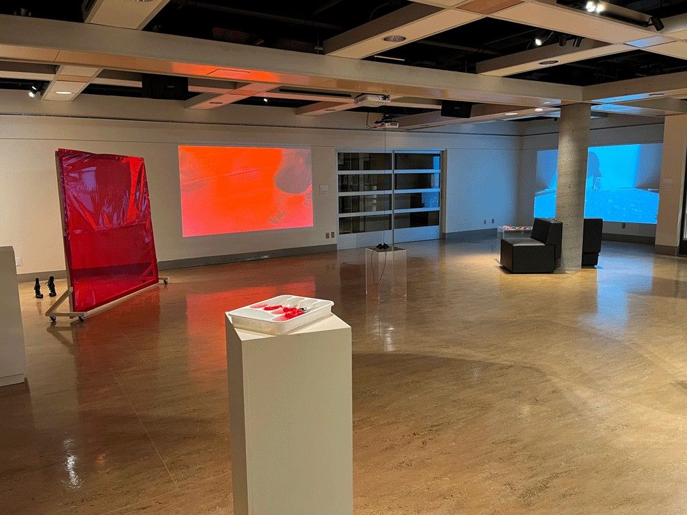 Exposition Réflexions féministes