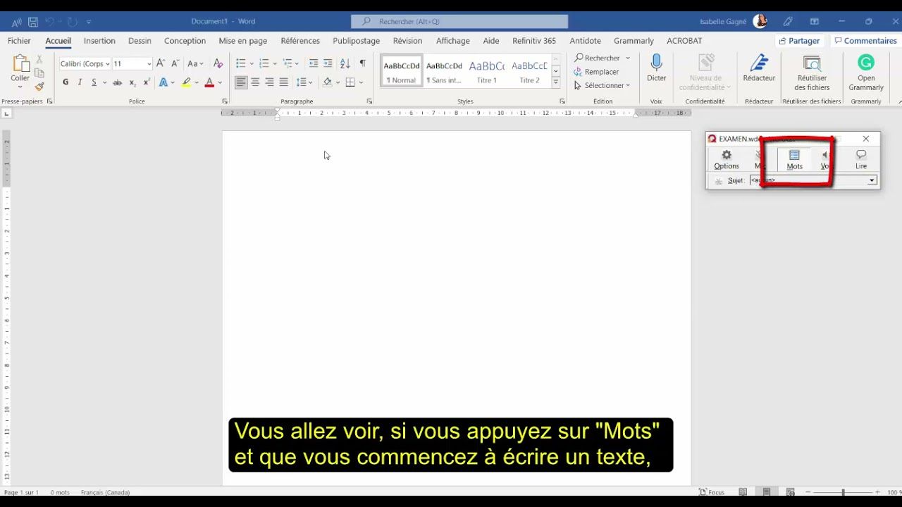 Vignette WordQ