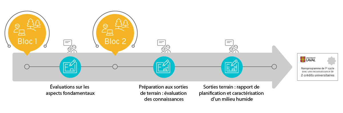 Graphique du cheminement dans le programme de caractérisation des milieux humides