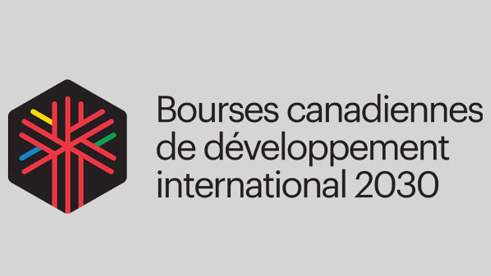 Logo BCDI