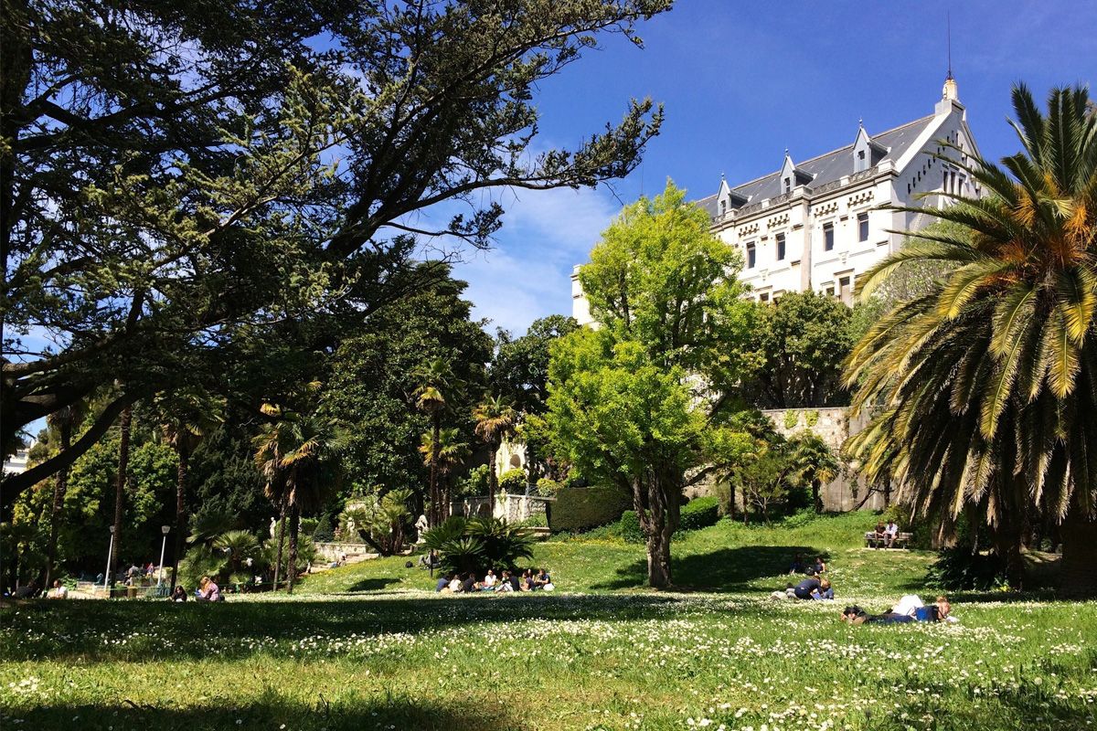 Université Côte d’Azur