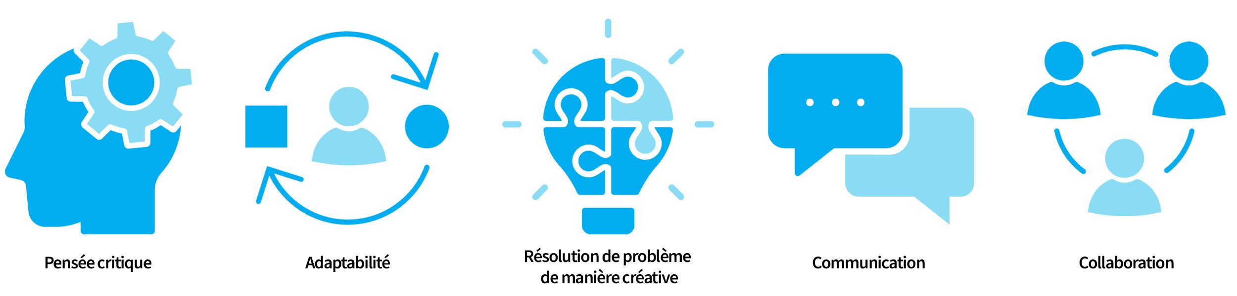 Cadre de compétences de Sentinelle Nord