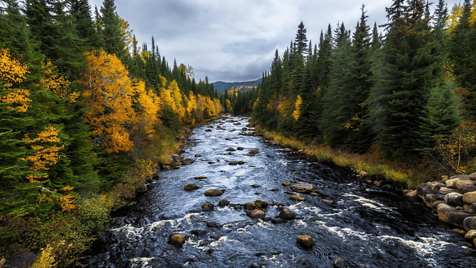 Rivière