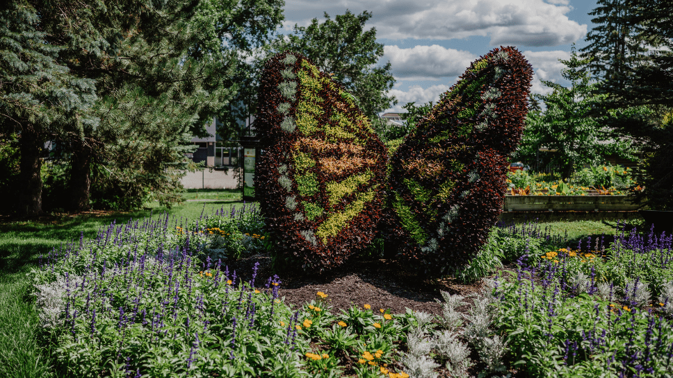 Mosaïculture papillon