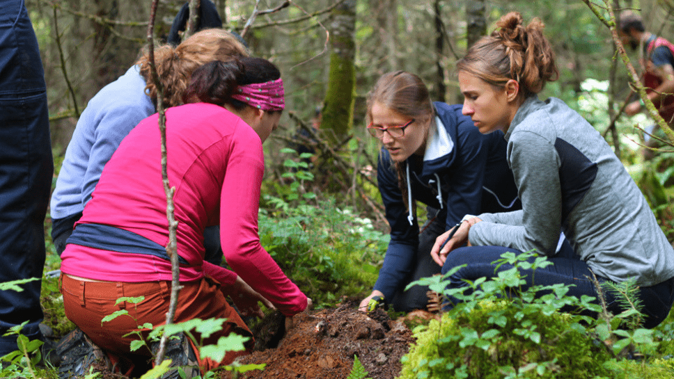 Personnes plantant un arbre