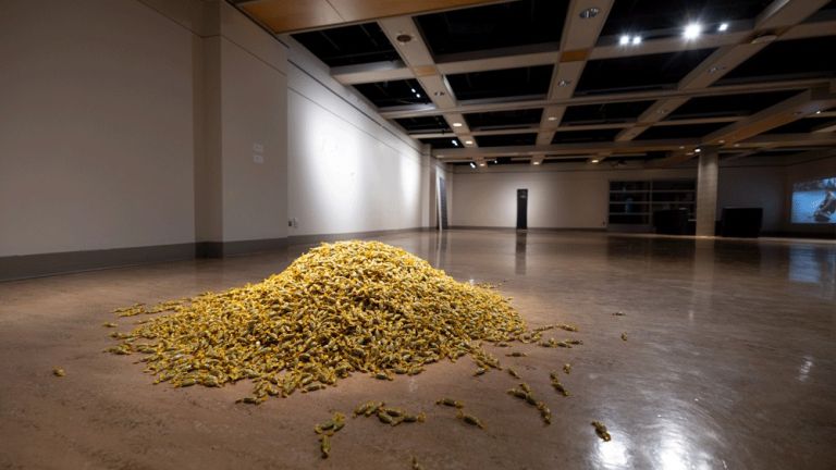Exposition Je murmure mémoire pour marquer le pli