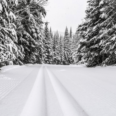 Piste de ski de fond